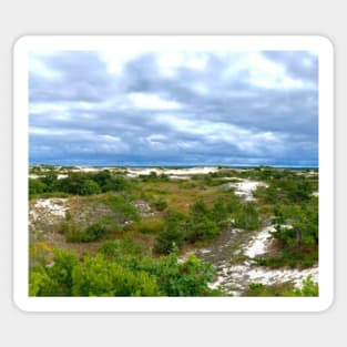 The dunes at Sandy Neck Beach Sticker